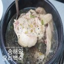 송해와오리백숙 이미지