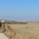 서강화농업협동조합 교동지점 | 시간이 머무는 섬, 바다와 들녘이 맞닿은 머르메 가는 길 - 강화나들길 10코스