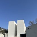 설개로 | 메종디탈리 27년 상반기 견적공유 식대 주차 셔틀 후기