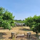 펜션화랑 이미지