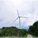 대초농장 이미지