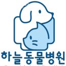 하늘병원 | 수원 곡반정동 동물병원 하늘동물병원 진료시간 접근성 이용후기