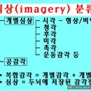 심상 이미지