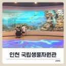 환경로 | 인천 아이와 실내 무료 체험! 국립생물자원관 생생채움 &amp; 푸드코트 후기