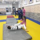 용인대 중앙 유도관 이미지