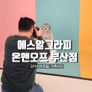 스튜디오그라씨 | 부산가족사진 강아지와 함께 에스알그라피온앤오프 부산점에서 촬영했어요