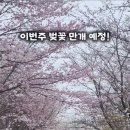 (주)가야드림 이미지