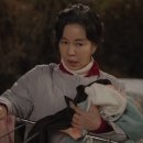 원시스텍 이미지