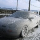 스테이시스필드 이미지