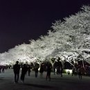 대공원치안센터 이미지