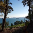 남해-241 이미지