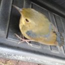 광덕1로8 이미지