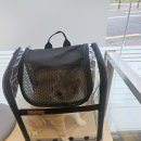 동물병원 왓슨 이미지