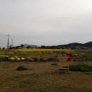 동광리-6 이미지