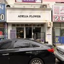 수원-0788 이미지