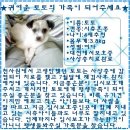 희망토토 이미지