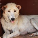 덕산축산 이미지