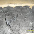 축협 맞은편 이미지