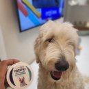 로얄펫 뉴트리션 이미지