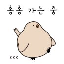 농부와닭동네 이미지