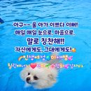 마음의 양식 이미지