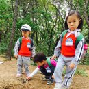 괴안어린이집 이미지