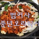 오리박사 네이버블로그
