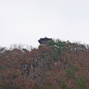 강천산군립공원(현수교) 이미지