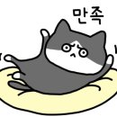 청담골반상