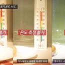 블루토탈케어