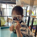 놀러와 놀이터 | &lt;평택 명소 어린이 놀이터 &#34;놀러와 다락방&#34;&gt;초딩을 위한 키즈카페 온가족 놀이터 보드게임방 강력추천
