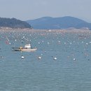 다시마 흑염소 이미지