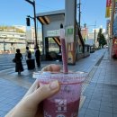 GS25정릉시티점 | GS25 과일 스무디 가격 맛 후기vs 일본 세븐일레븐 스무디