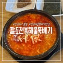 팔도 전복죽· 해물 | 강릉 강문해변맛집 팔도전복해물뚝배기 치즈쫄순 내돈내산 후기