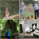 카락 | 100% 만족 가성비 숙소 | 벤통 카락 오차드 리조트