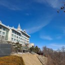 하이원  팰리스호텔 이미지