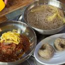 뉴스타프라자 | 세종 평양냉면 맛집 도장깨기 1탄 종촌동 미가면옥 내돈내산
