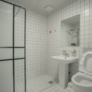 솔레올레 이미지