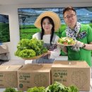 경식 농장 이미지