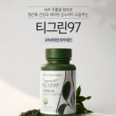 녹차 추출물로 만든 항산화 영양제, 파마넥스 티그린 97 찐후기