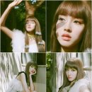 숲을향한시선 이미지