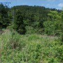 거문초동도분교장 이미지