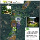 예산느티나무캠핑장 F사이트 (그늘 많고 수영장까지 있는 여름 추천 캠핑장)