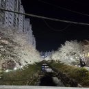 신복돼지갈비