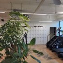 에스핏 피티 필라테스 이미지