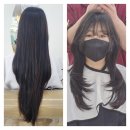 메트로프라자 | 마산 내서 미용실 허쉬컷,레이어드c컬 에이바헤어 민규쌤