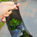 진주대로주유소 이미지