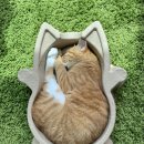 김냐옹 미용실 이미지