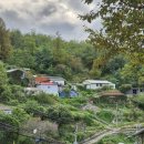 개미정비 이미지