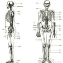 애니톡만화애니전문학원 이미지